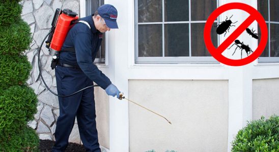 Arhavi Hamam Böceği İlaçlama böcek ilaçlama ve haşere kontrolü — ilaclama-tr.com